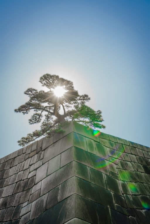The foundation of a Castle tower of the Edo-jo Castle,Japan